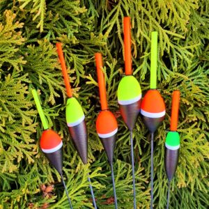 ECONOMY ( BUDGET) FLOATS